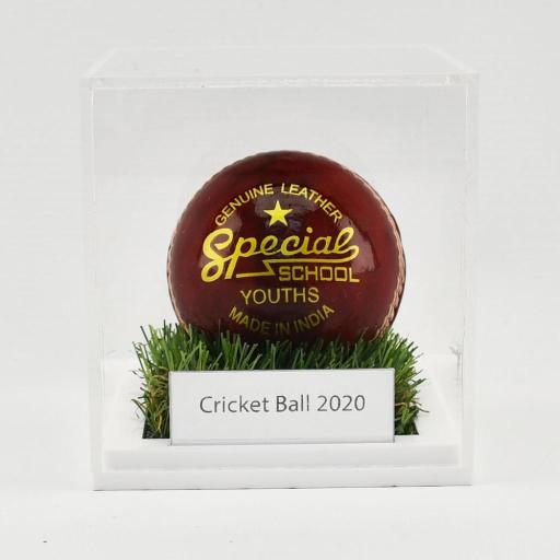 Cricket / Tennis Ball Display Case With Grass Effect Base