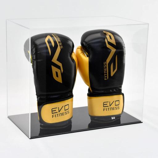 Boxing Glove Display Case - Double Portrait