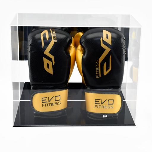 Boxing Glove Display Case - Double Portrait (With Mirror Backing)